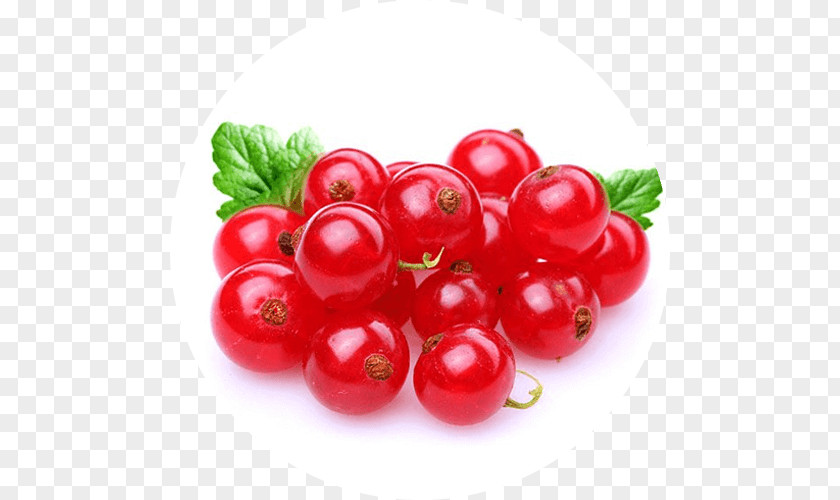 RedBerry Redcurrant Blackcurrant Fruit Gelatin Dessert Berry PNG