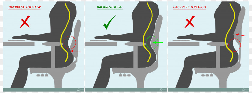 Table Legs Low Back Pain Office & Desk Chairs Lumbar Sitting PNG