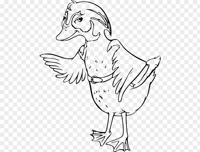 Duck Bird Rooster Cygnini Beak PNG