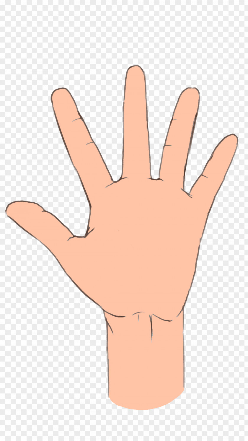 Palmistry Hand Image Ring Finger Middle PNG