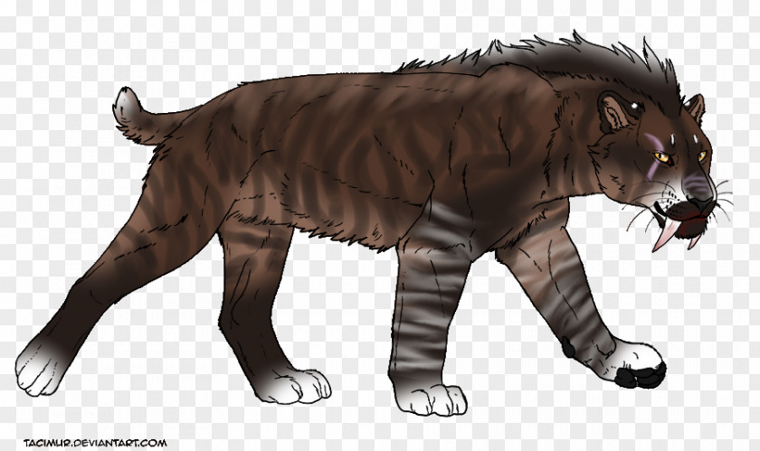 Tiger Lion Felidae Vertebrate Saber-toothed Cat PNG