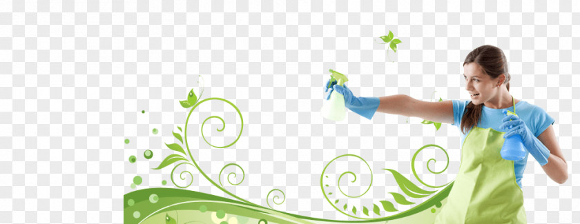 Window Carpet Cleaning Cleaner Maid Service Washing Machines PNG