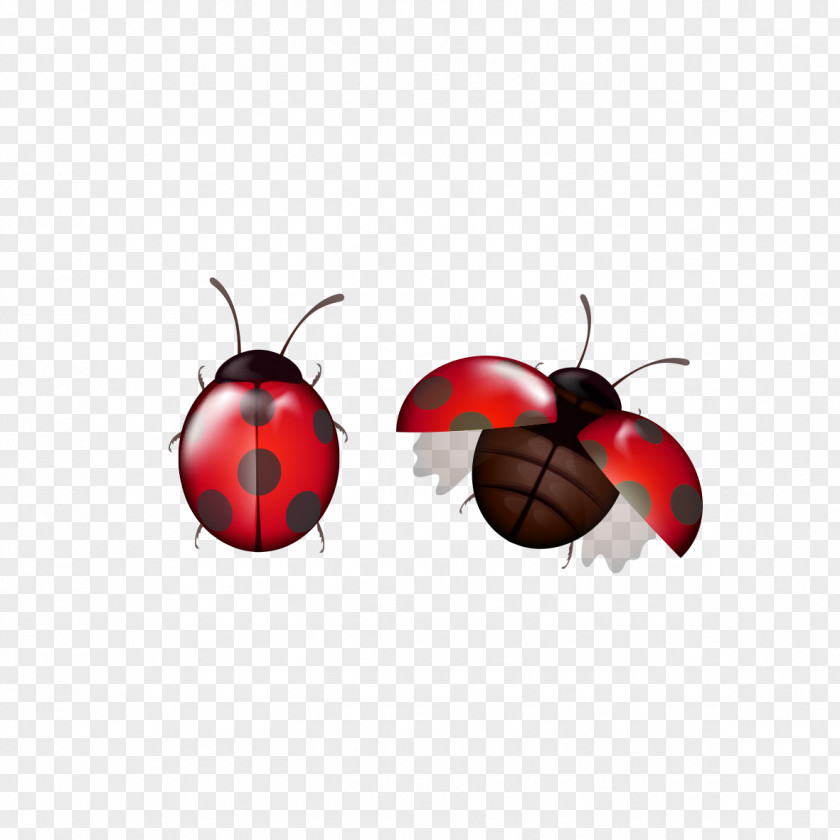 Creative Cartoon Ladybug Insect Christmas Ornament Membrane Wallpaper PNG