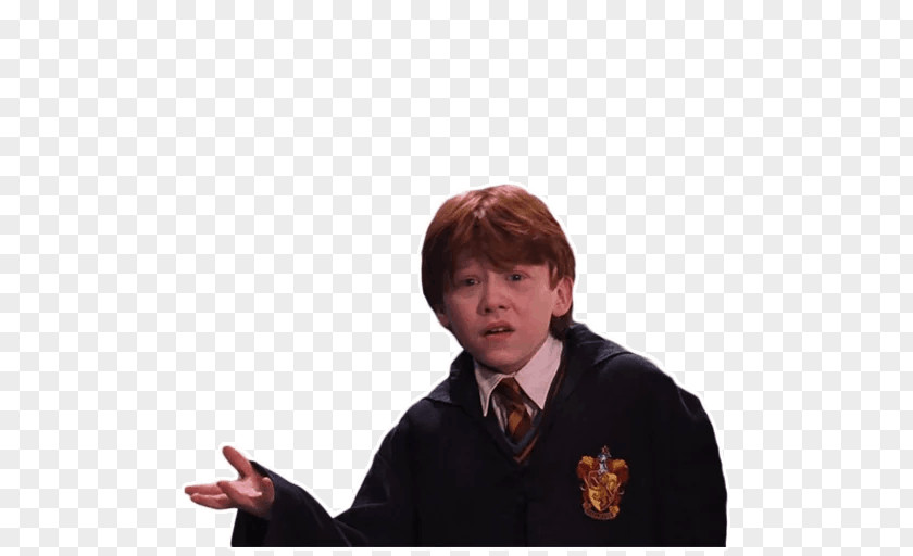 Harry Potter Hermione Granger Ron Weasley Sticker PNG