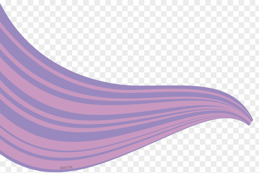 Purple Color Pink Blue Yellow PNG