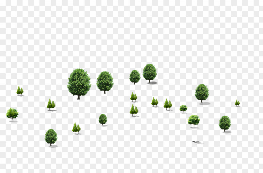 3d Trees More Tree 3D Computer Graphics Wallpaper PNG