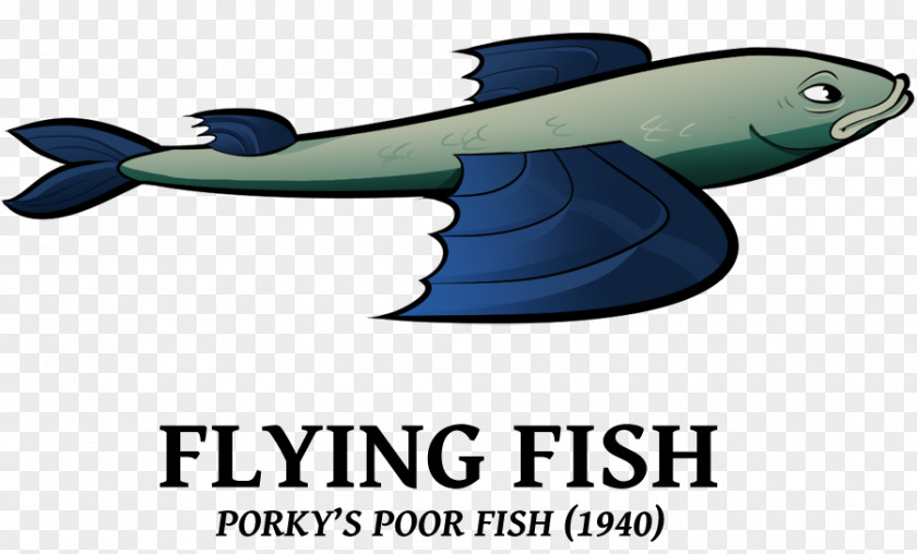 Dolphin Cartoon Flying Fish Drawing Comics PNG