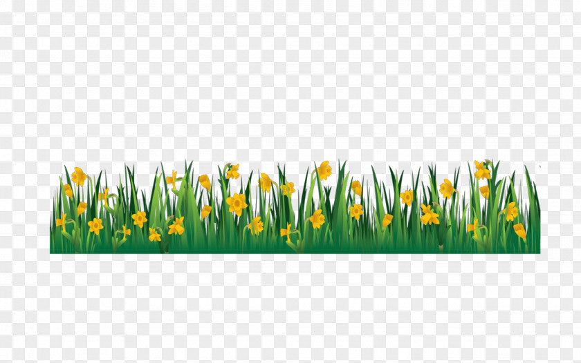 Flower Garden Clip Art Vector Graphics Lawn PNG