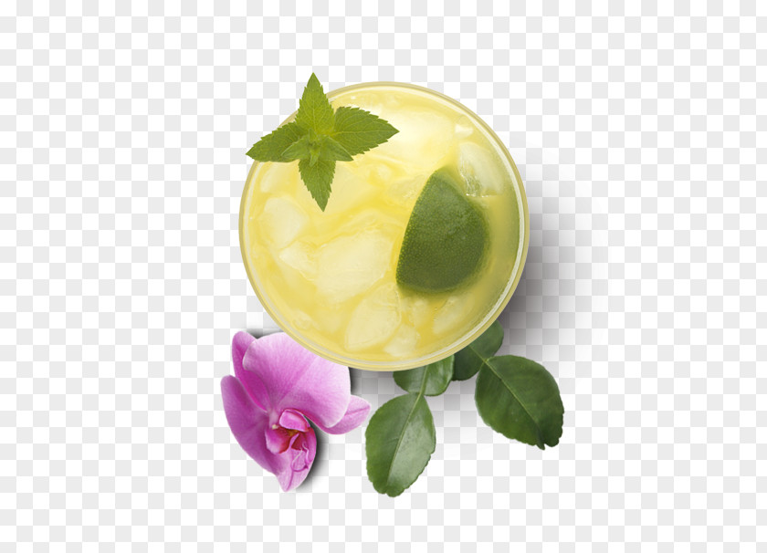 Guava Juice Garnish Flavor Orchidea PNG