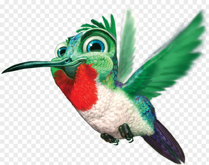 Hummingbird Free Image Google Clip Art PNG
