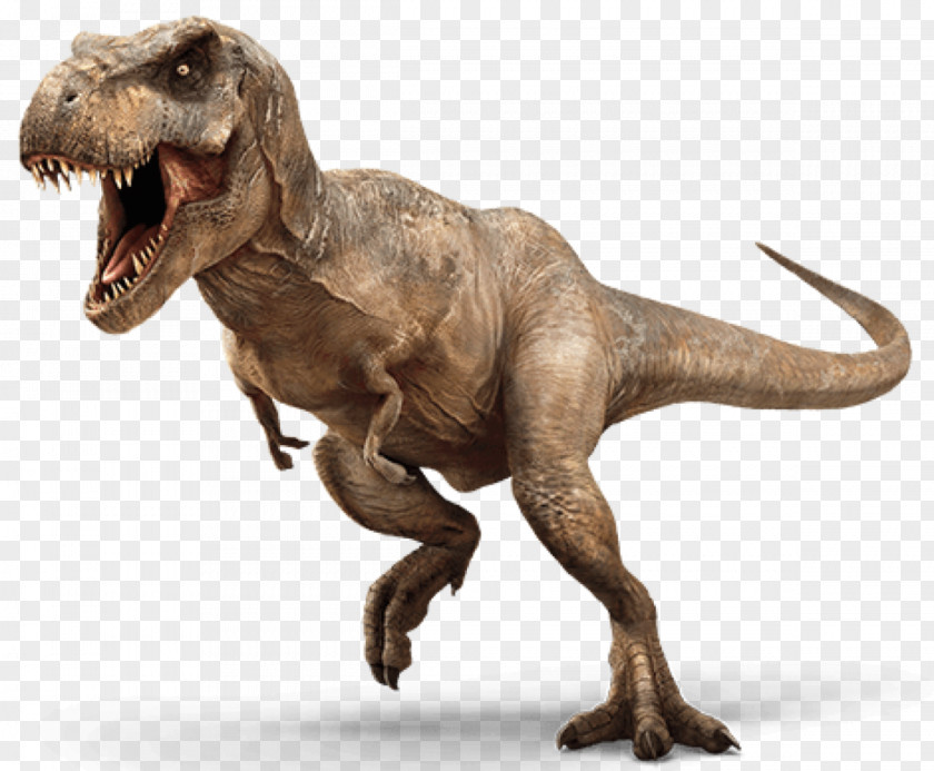 Jurassic Park Tyrannosaurus Pachycephalosaurus Velociraptor Late Cretaceous Triceratops PNG