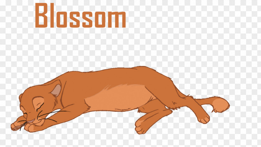 Lion Dog Cat Mammal Paw PNG
