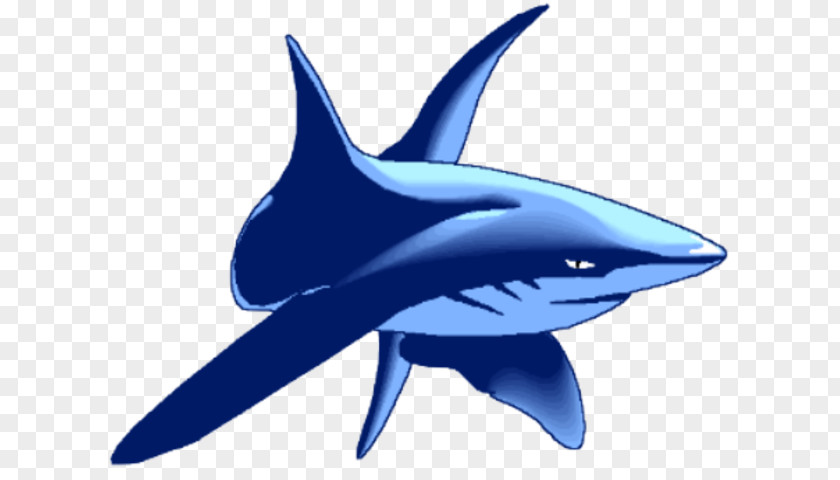Mako Shark Common Bottlenose Dolphin Dinosaur Planet Image School PNG