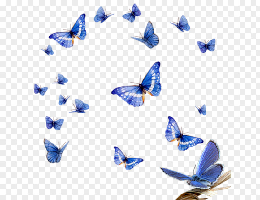 Mall Decoration Butterfly Clip Art PNG