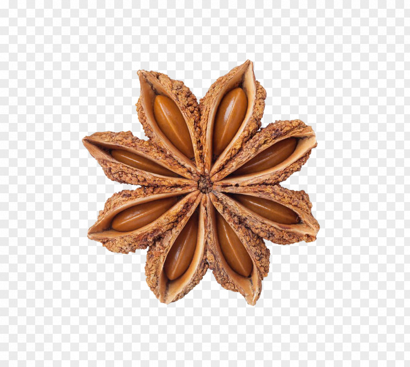 Star Anise Spice Facing Heaven Pepper Food PNG