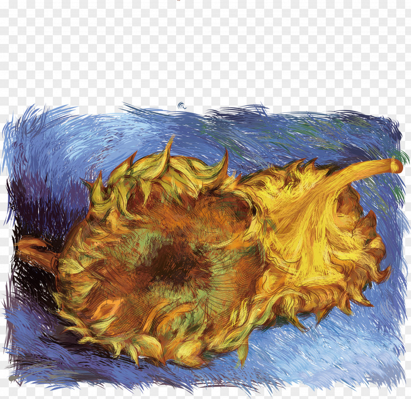 Vector Sunflower Oil Sunflowers Common Painting PNG