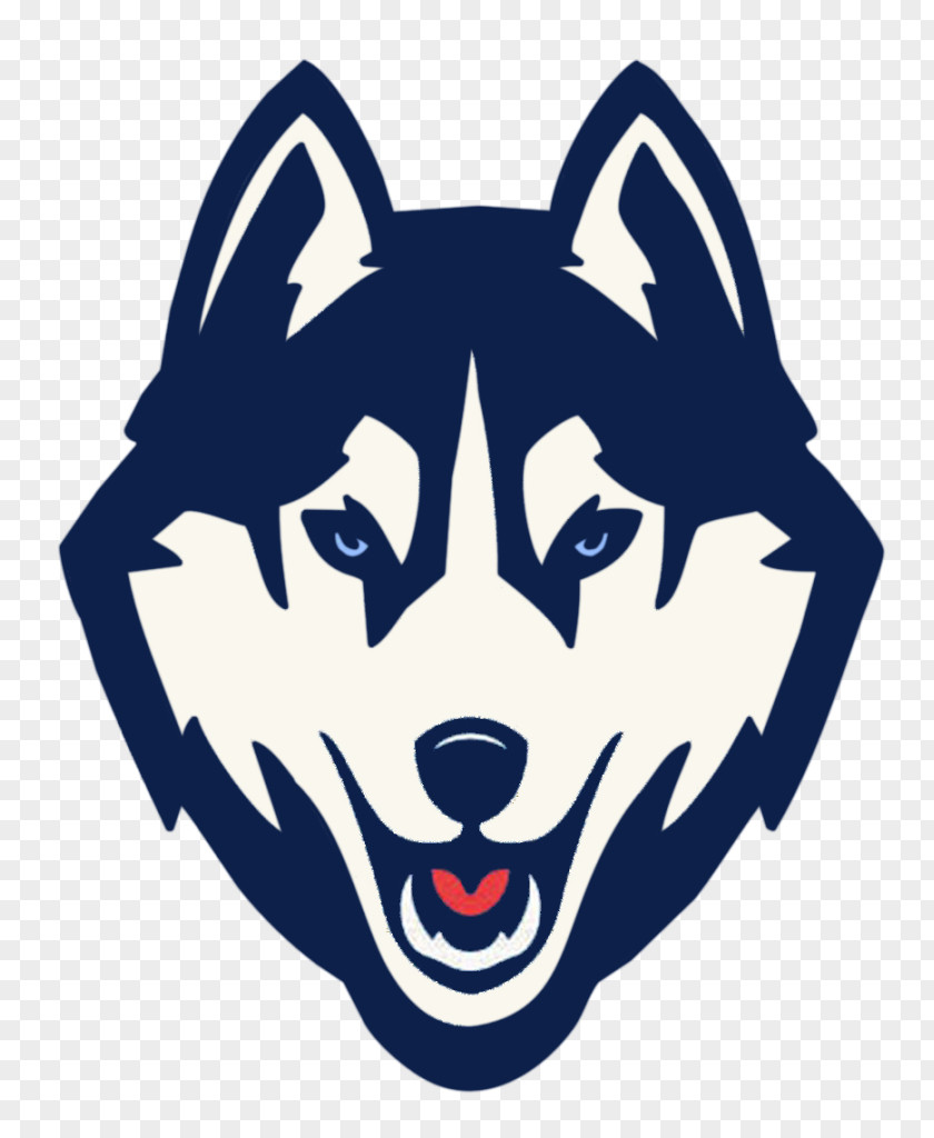 Wolf Connecticut Huskies Men's Basketball Women's Football University Of NCAA Division I Tournament PNG