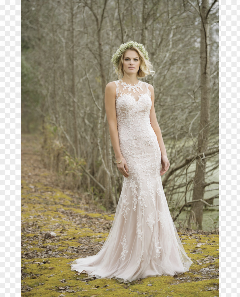 Dress Wedding Gown Tulle Lace PNG