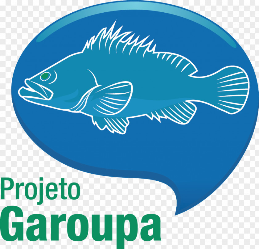 Fish Projeto Garoupa Gulf Grouper Red PNG