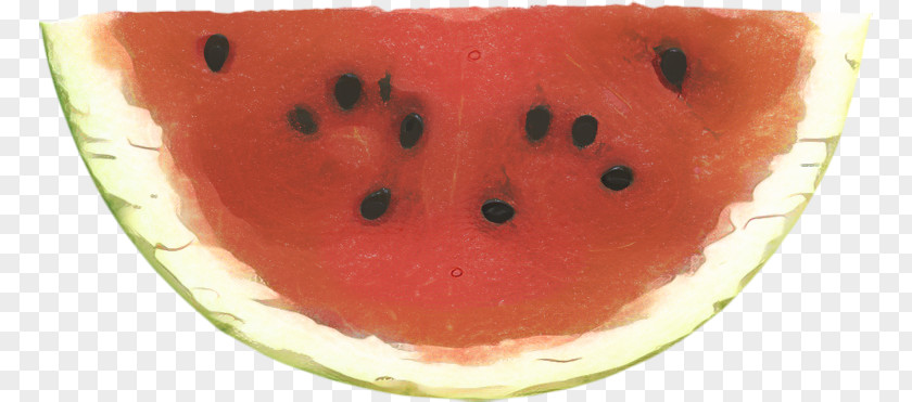 Food Plant Watermelon Cartoon PNG