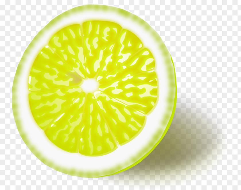 Lemon Meringue Pie Clip Art Persian Lime PNG