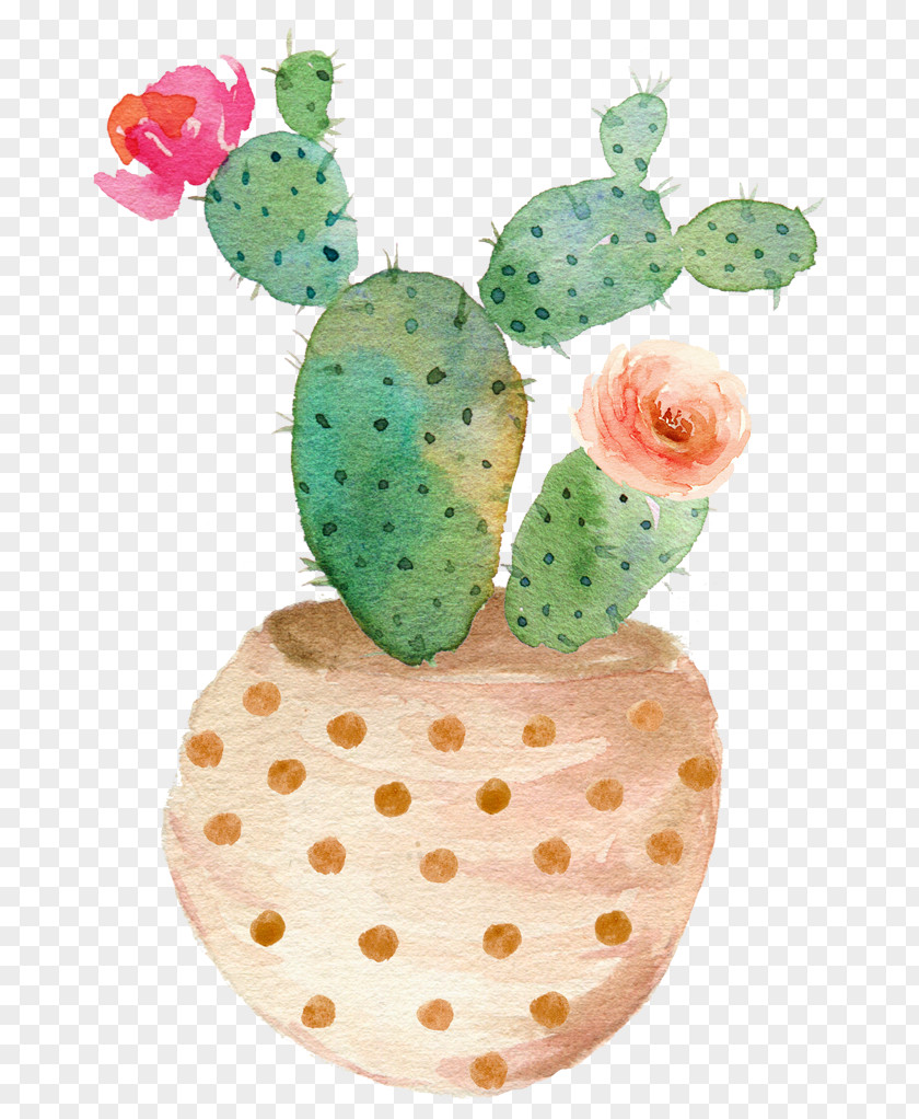 Sen Department Aesthetic Cactus Succulent Plant Watercolor Painting Printing Cactaceae PNG