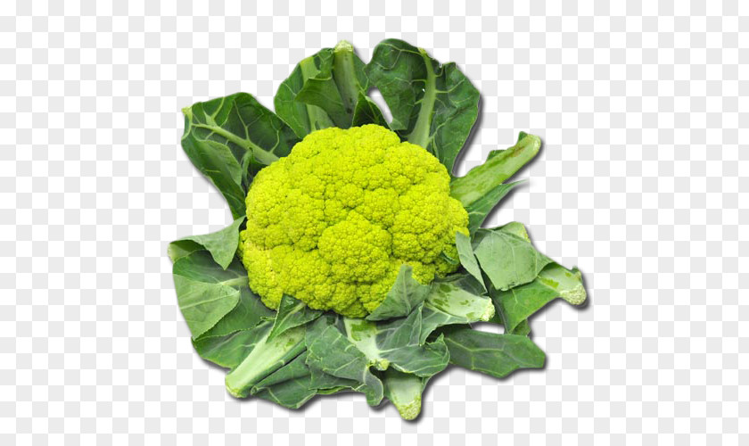 Broccoli Cauliflower Vegetarian Cuisine Collard Greens Spring PNG
