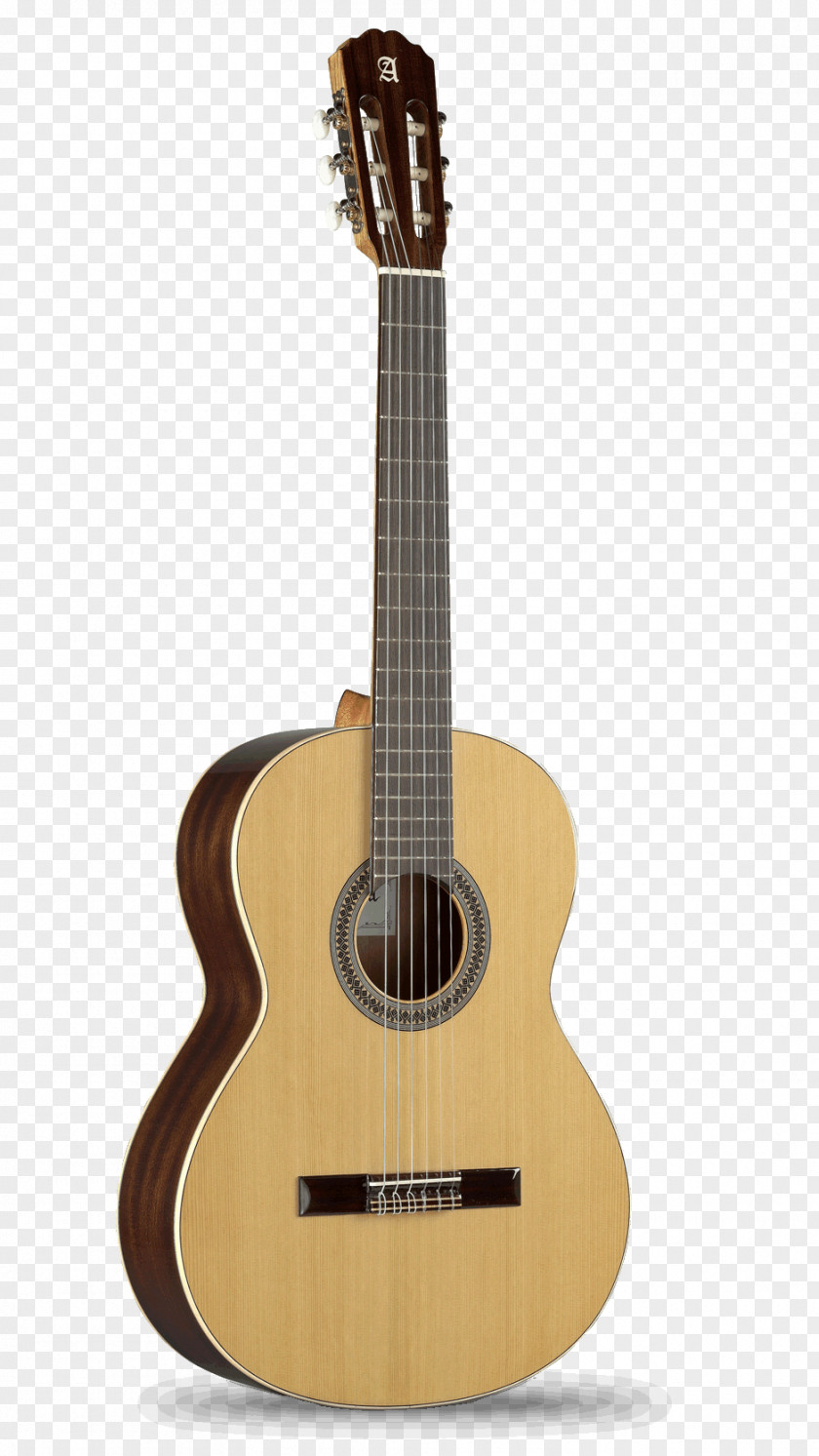 Classical Guitar Electric Alhambra String PNG