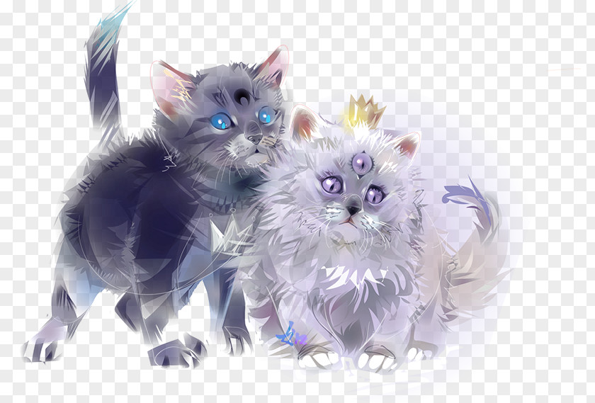 Kitten Maine Coon Whiskers Paw DeviantArt PNG
