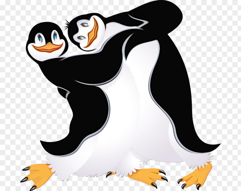 Puffin Animated Cartoon Penguin PNG