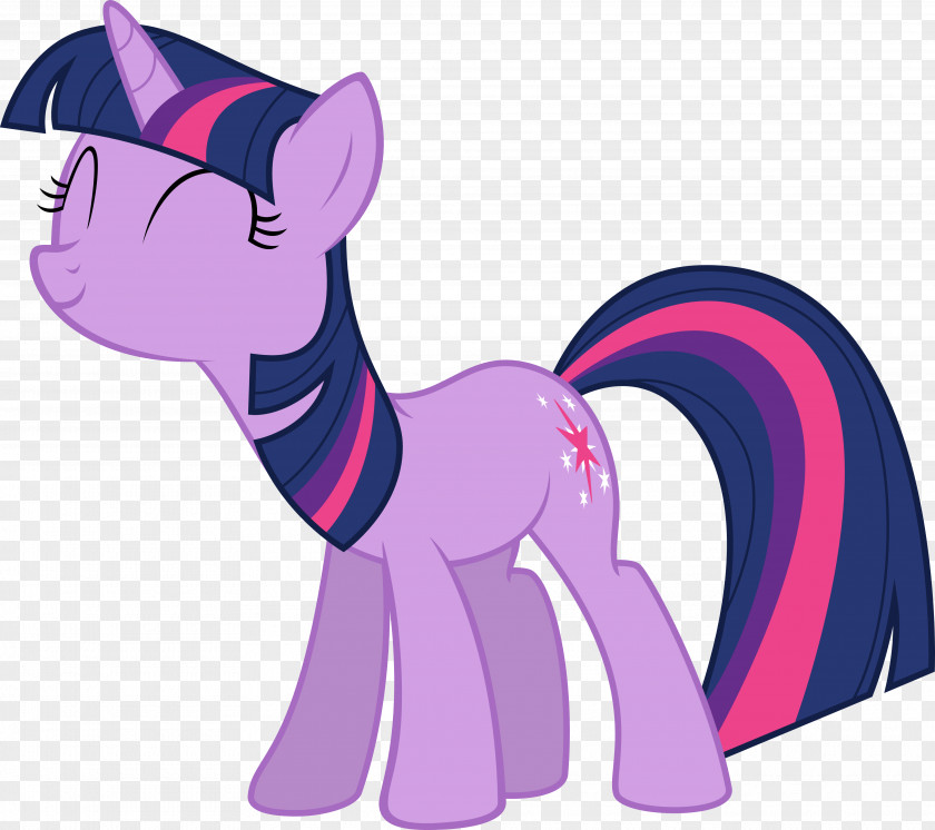 Sparkle Vector Twilight Pinkie Pie Pony Rarity Applejack PNG