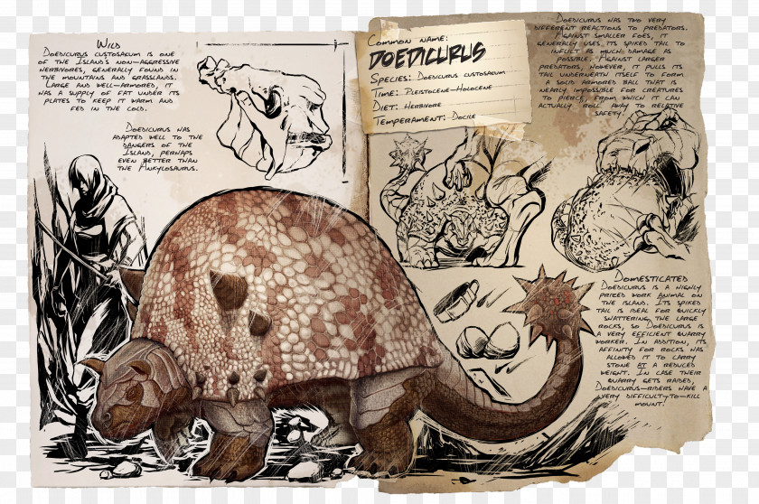 Ark Shell ARK: Survival Evolved Doedicurus Clavicaudatus Dinosaur Giant Armadillo Herbivore PNG