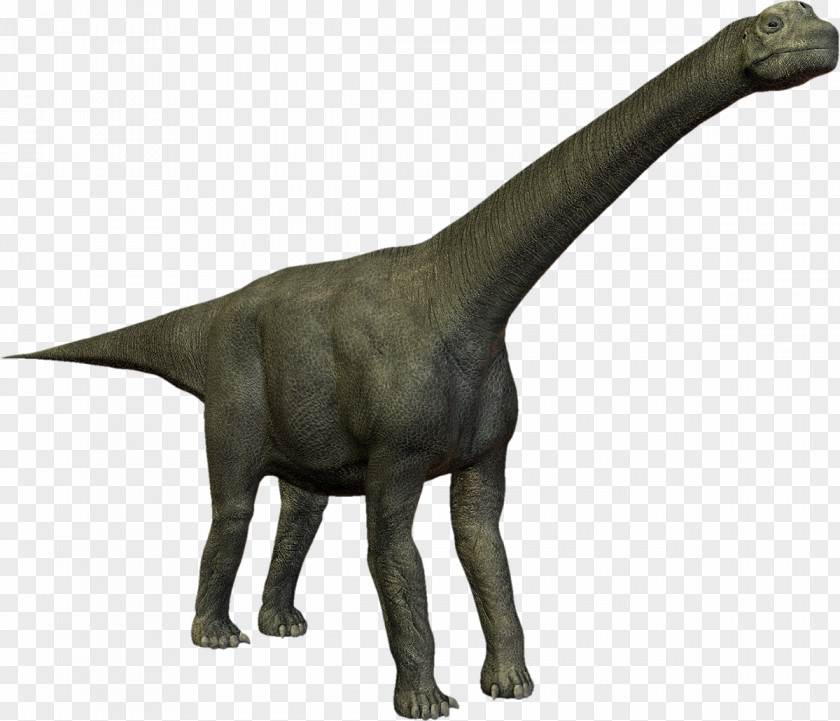 Dinosaur Camarasaurus Velociraptor PhotoScape PNG