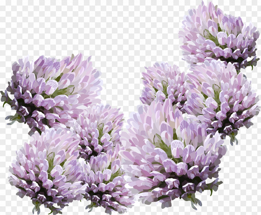 Lavender Flower Home Page Email Clip Art PNG