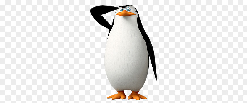 Madagascar Penguins PNG penguins clipart PNG