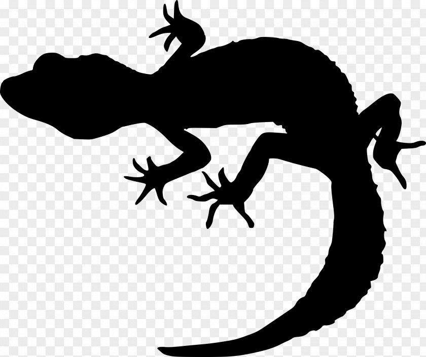 Dragon Drawing Silhouette Clip Art Gecko Lizard PNG
