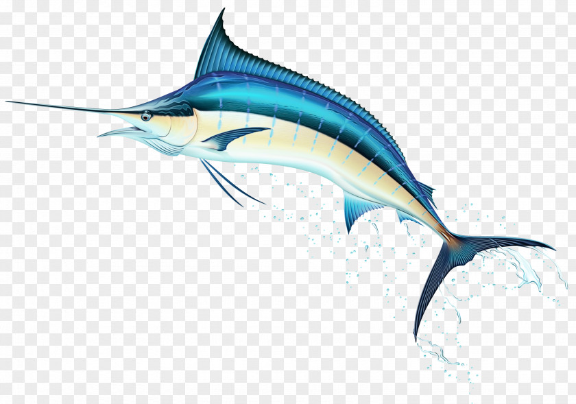 Fin Marlin Swordfish Fish Sailfish Atlantic Blue PNG