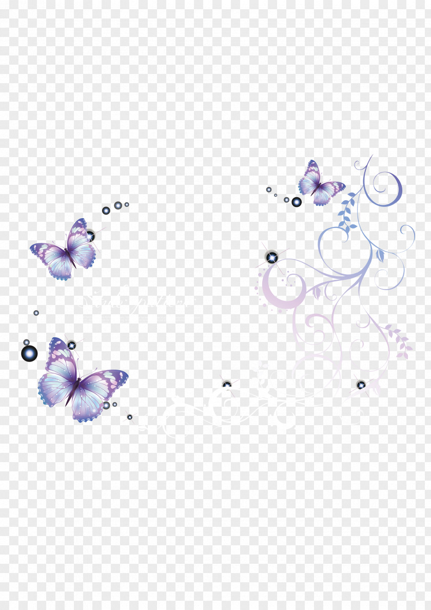 Lace Butterfly Background Euclidean Vector Pattern PNG