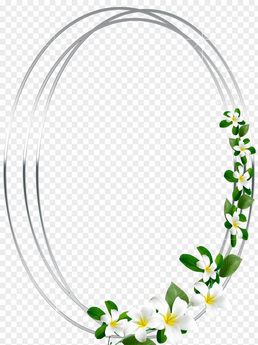 Round Frame Picture Frames Photography Clip Art PNG