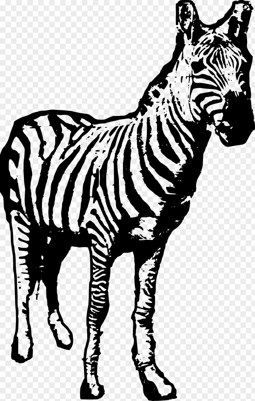 Zebra Tiger Black And White Clip Art PNG