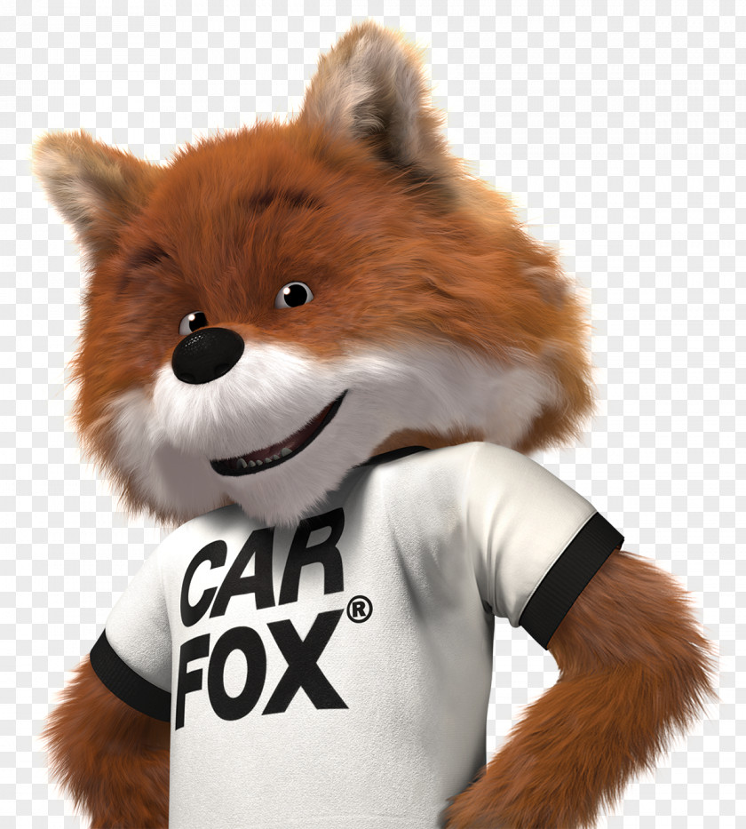 Fox Carfax Motor Vehicle Service Tega Cay Wash & Lube -Car Oil Change Fort Mill SC Automobile Repair Shop PNG