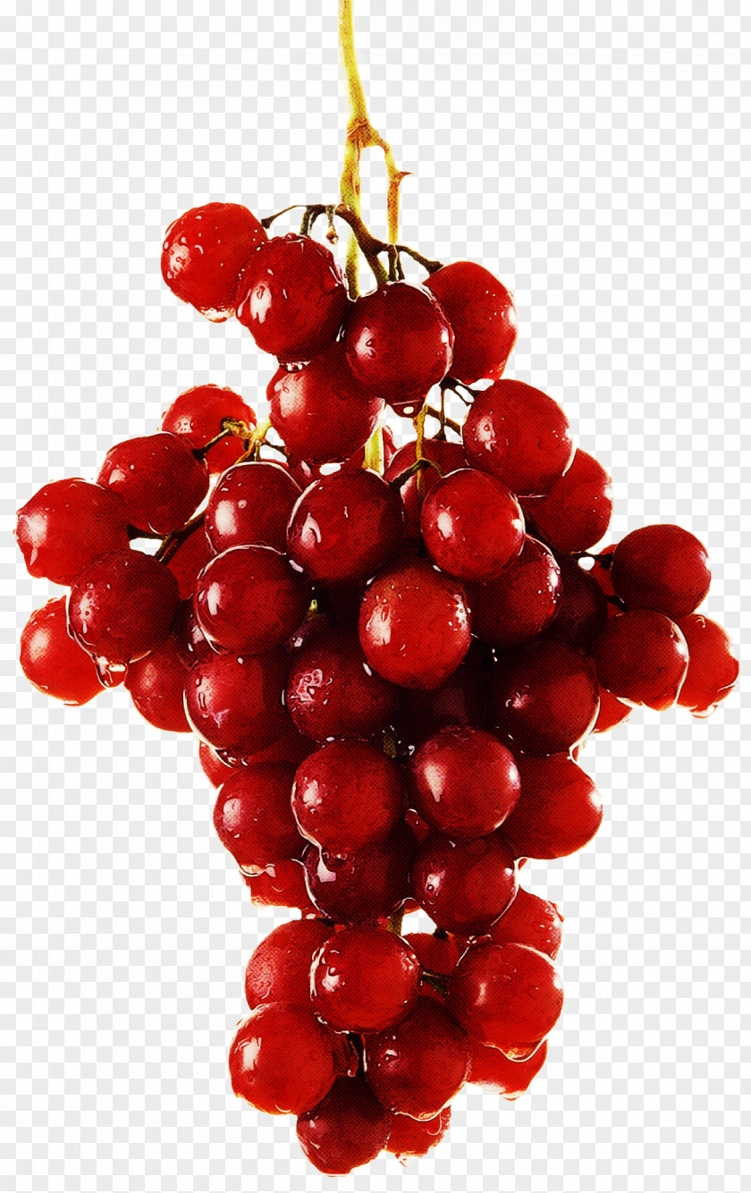 Grapevine Family Food Natural Foods Seedless Fruit Grape Berry PNG