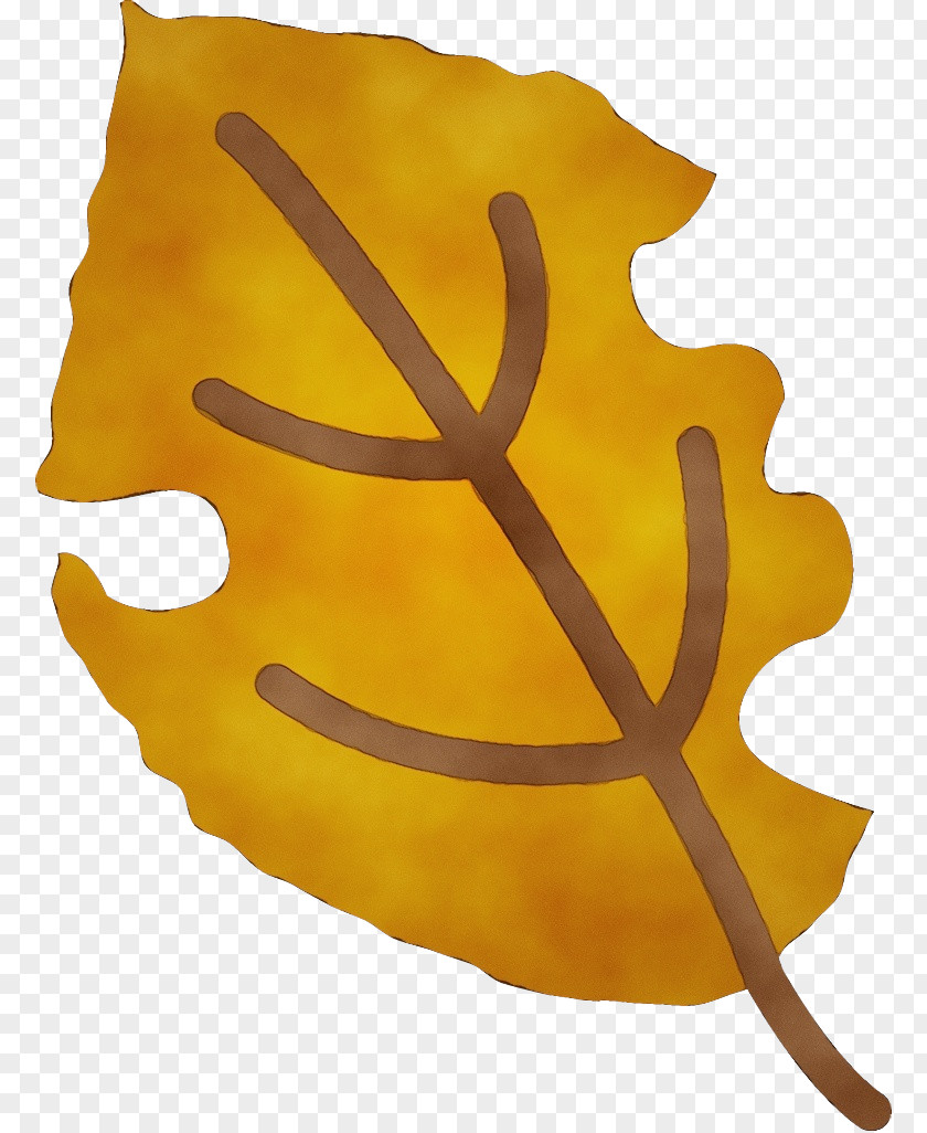 Plant Leaf Yellow PNG