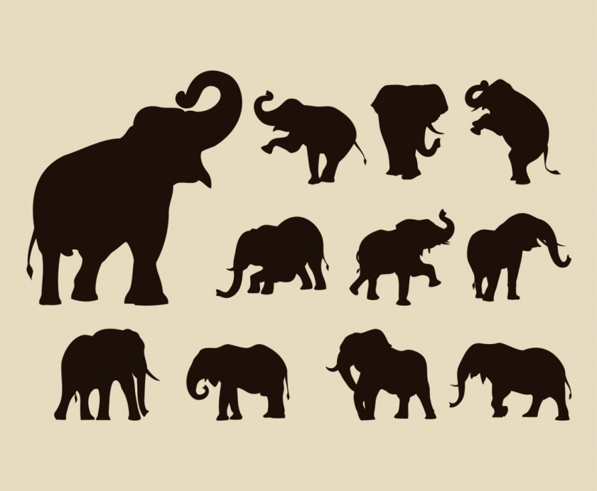 Rhino African Elephant Indian Silhouette PNG