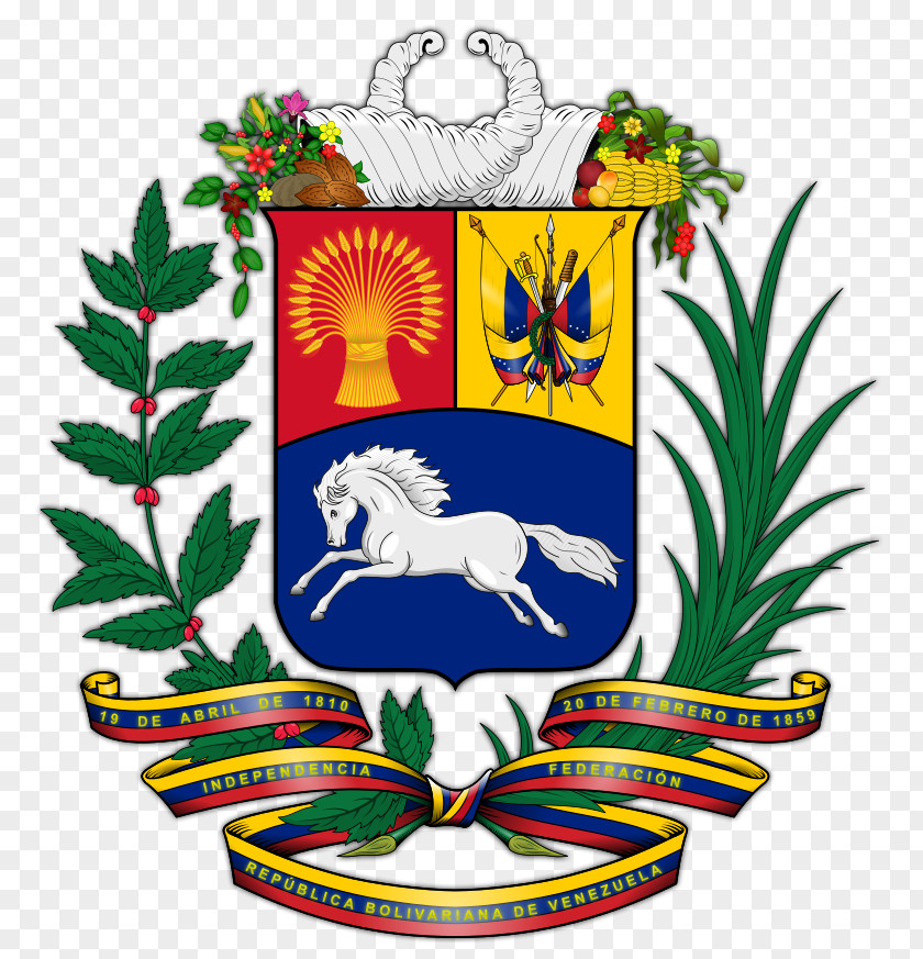 Venezuela National Football Team Coat Of Arms Flag Escutcheon PNG