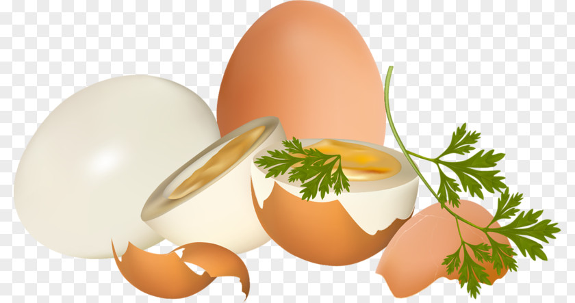 Egg Eggshell Chicken PNG