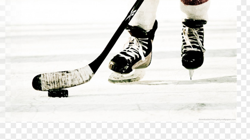 Kpax NCAA Men's Ice Hockey Championship Sport United States Toronto Maple Leafs PNG