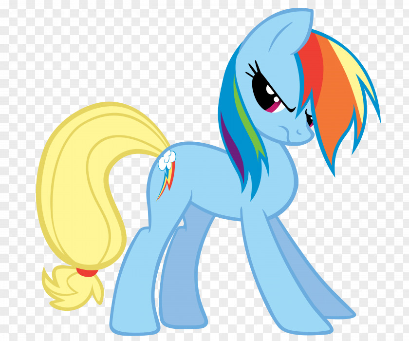 My Little Pony Rainbow Dash Applejack Fluttershy PNG