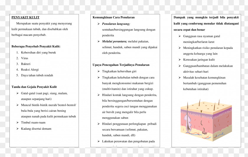 Brochure Diagram LINE PNG