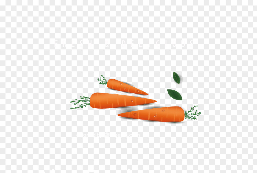 Carrot Baby Cake Vegetable PNG